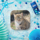 猫 ペーパープレート (パーティー)