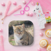 猫 ペーパープレート (パーティー)