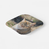 猫 ペーパープレート (傾斜あり)