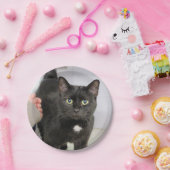 猫 ペーパープレート (パーティー)