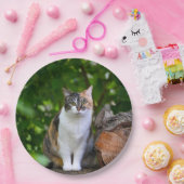猫 ペーパープレート (パーティー)