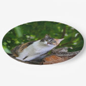 猫 ペーパープレート (アングル)