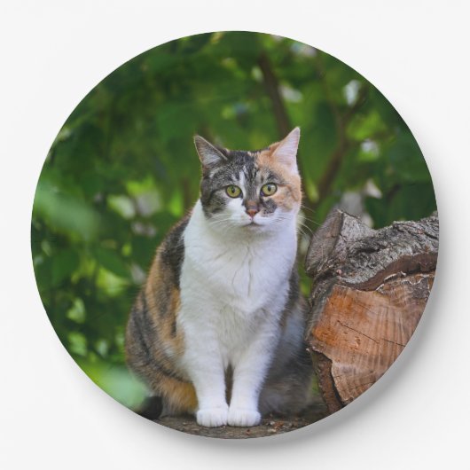 猫 ペーパープレート (正面)