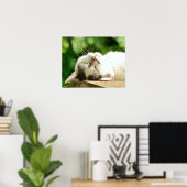 猫 ポスター (ホームオフィス)