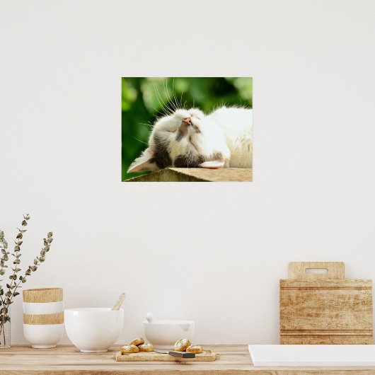 猫 ポスター (キッチン)