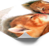 猫 ポスター (角)