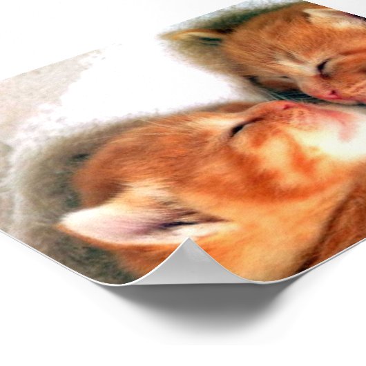 猫 ポスター (角)