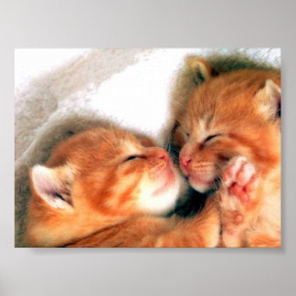 猫 ポスター