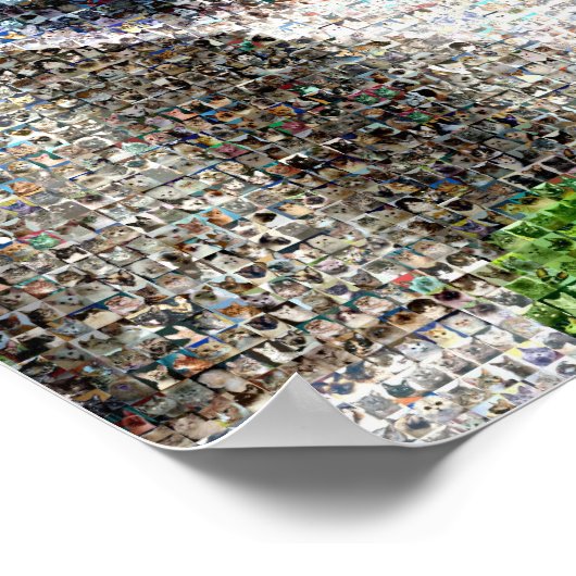 猫 ポスター (角)