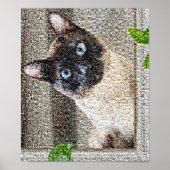 猫 ポスター (正面)