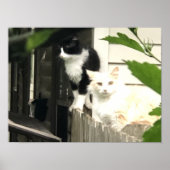 猫 ポスター (正面)