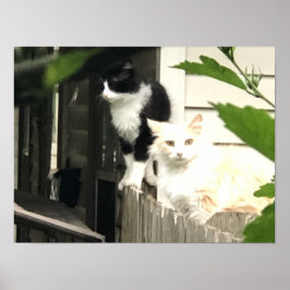 猫 ポスター