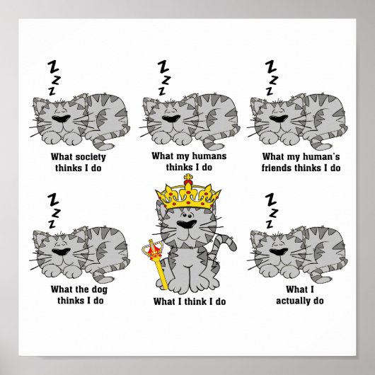 猫 ポスター (正面)