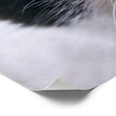 猫 ポスター (角)