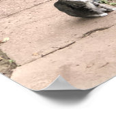 猫 ポスター (角)