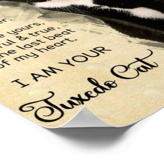 猫 ポスター (角)