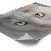 猫 ポスター (角)