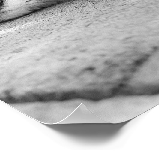 猫 ポスター (角)