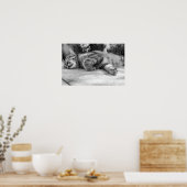 猫 ポスター (キッチン)