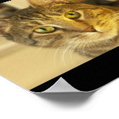 猫 ポスター (角)