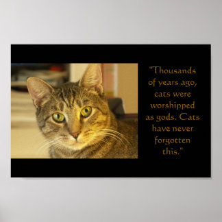 猫 ポスター