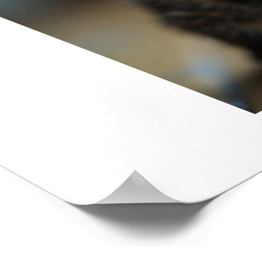 猫 ポスター (角)