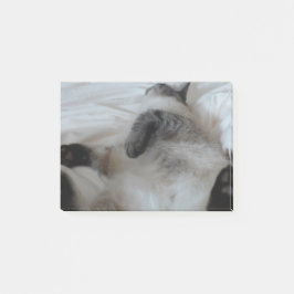 猫 ポストイット