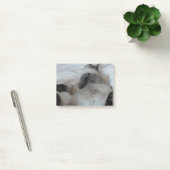 猫 ポストイット (オフィス)