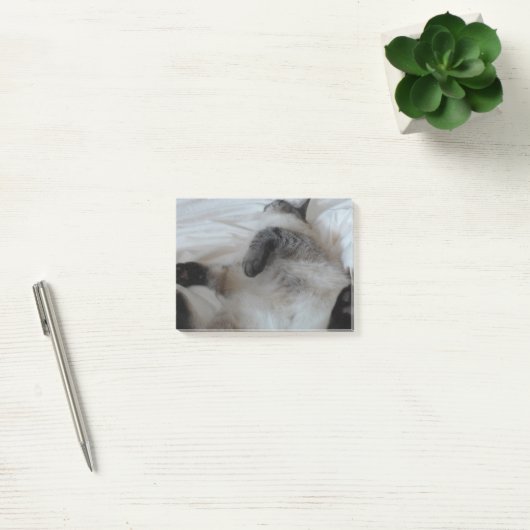 猫 ポストイット (オフィス)