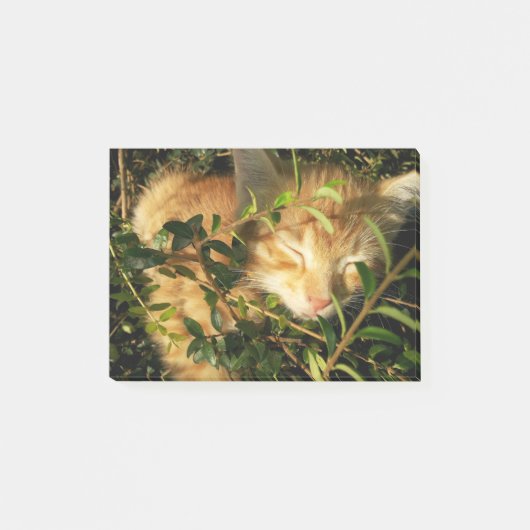 猫 ポストイット (正面)