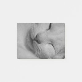 猫 ポストイット