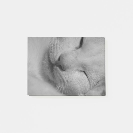 猫 ポストイット (正面)