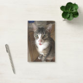 猫 ポストイット (オフィス)