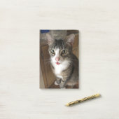 猫 ポストイット (デスク上)