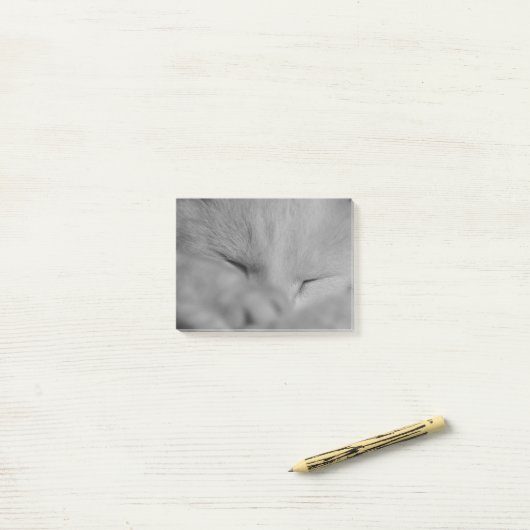 猫 ポストイット (デスク上)