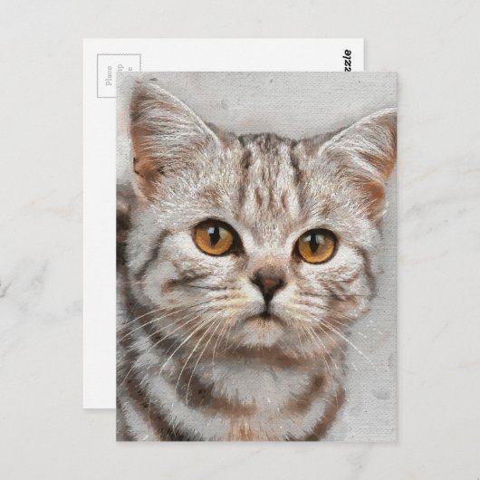 猫 ポストカード (正面/裏面)