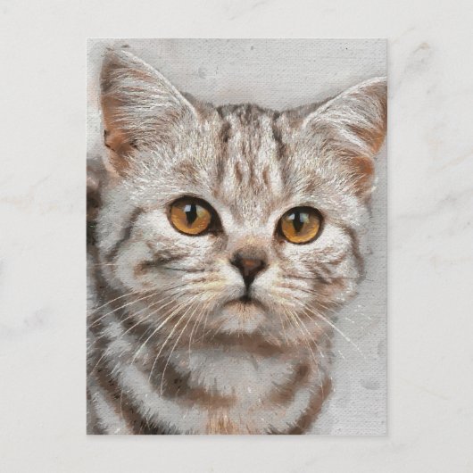 猫 ポストカード (正面)