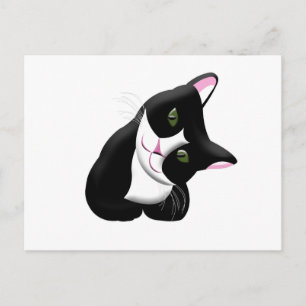 猫 ポストカード
