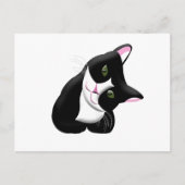 猫 ポストカード (正面)