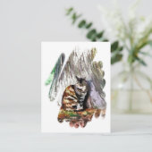 猫 ポストカード (スタンド正面)