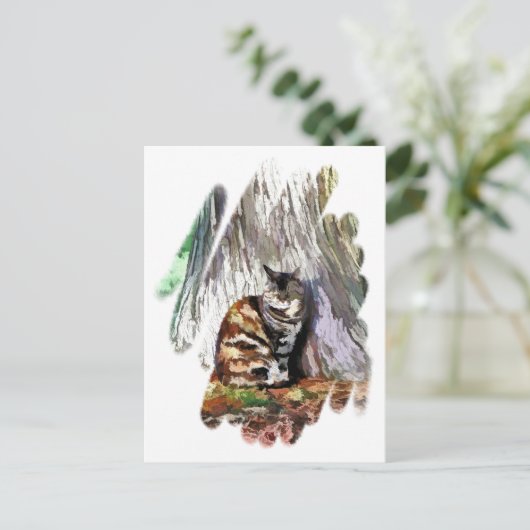 猫 ポストカード (スタンド正面)