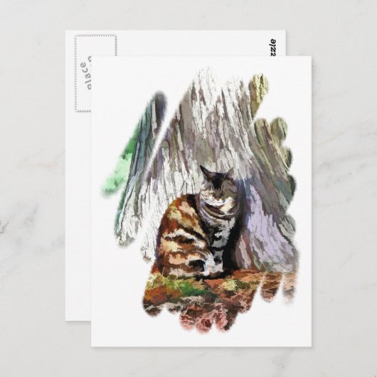 猫 ポストカード (正面/裏面)