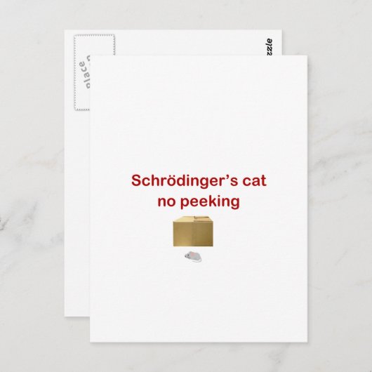 猫 ポストカード (正面/裏面)