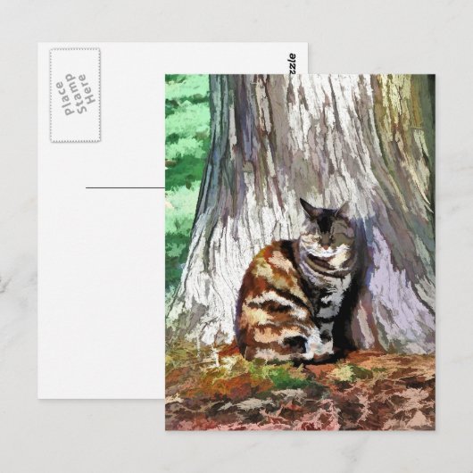 猫 ポストカード (正面/裏面)