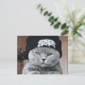 猫 ポストカード (スタンド正面)