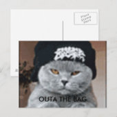 猫 ポストカード (正面/裏面)