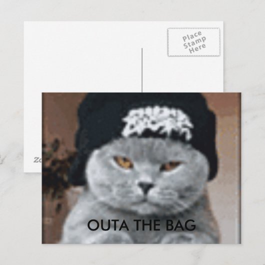 猫 ポストカード (正面/裏面)