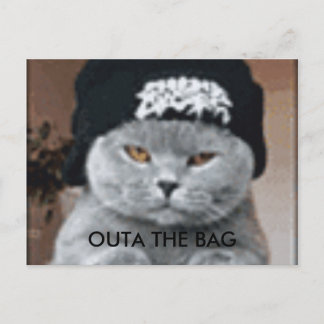 猫 ポストカード