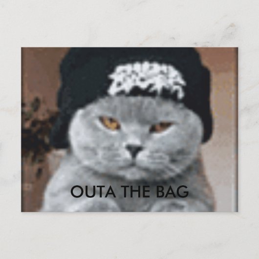 猫 ポストカード (正面)