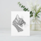 猫 ポストカード (スタンド正面)